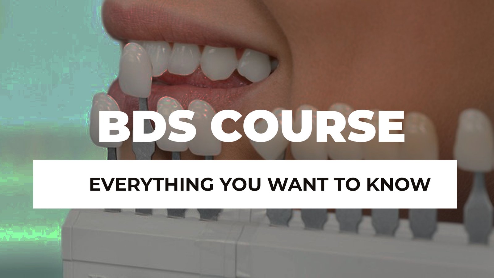 Every detail about BDS course